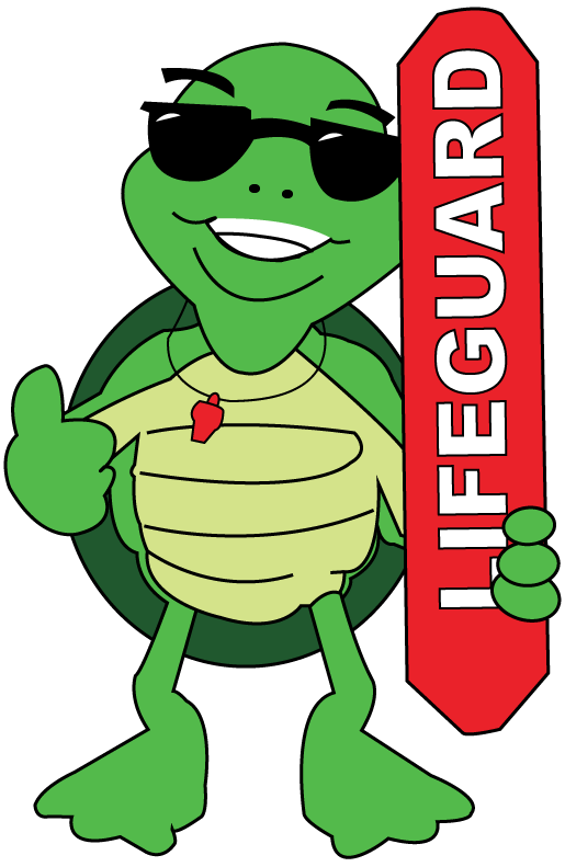 tommy-the-turtle